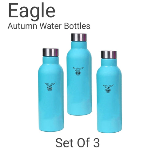 Eagle Autumn Stainless Steel Colour Water Bottle 1000ml, Set of 3